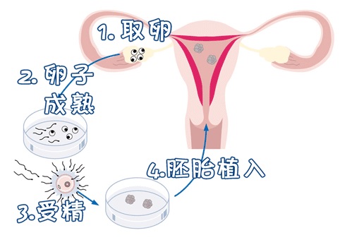 同仁堂国医馆